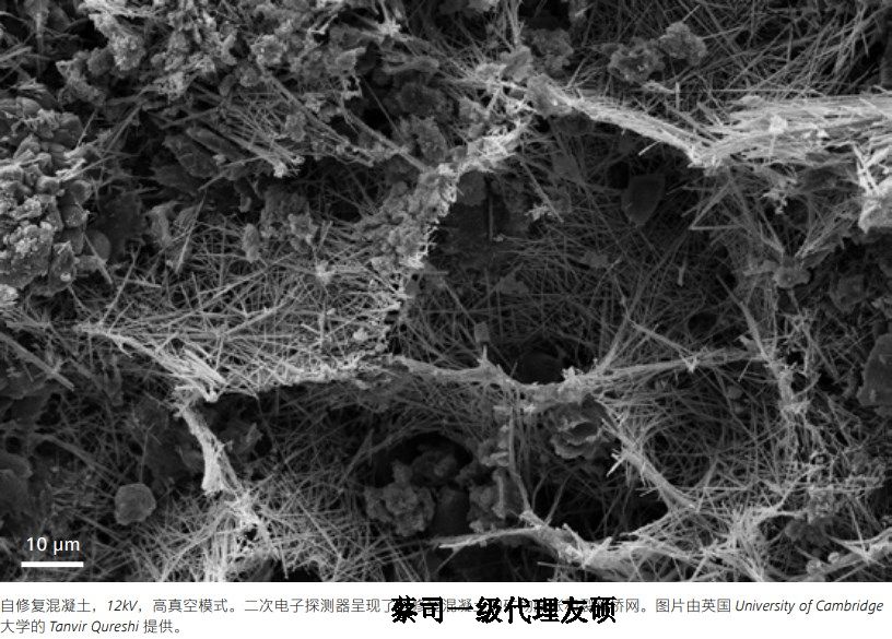 海南藏族蔡司海南藏族扫描电镜